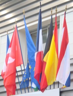 Armatures pour drapeaux 1